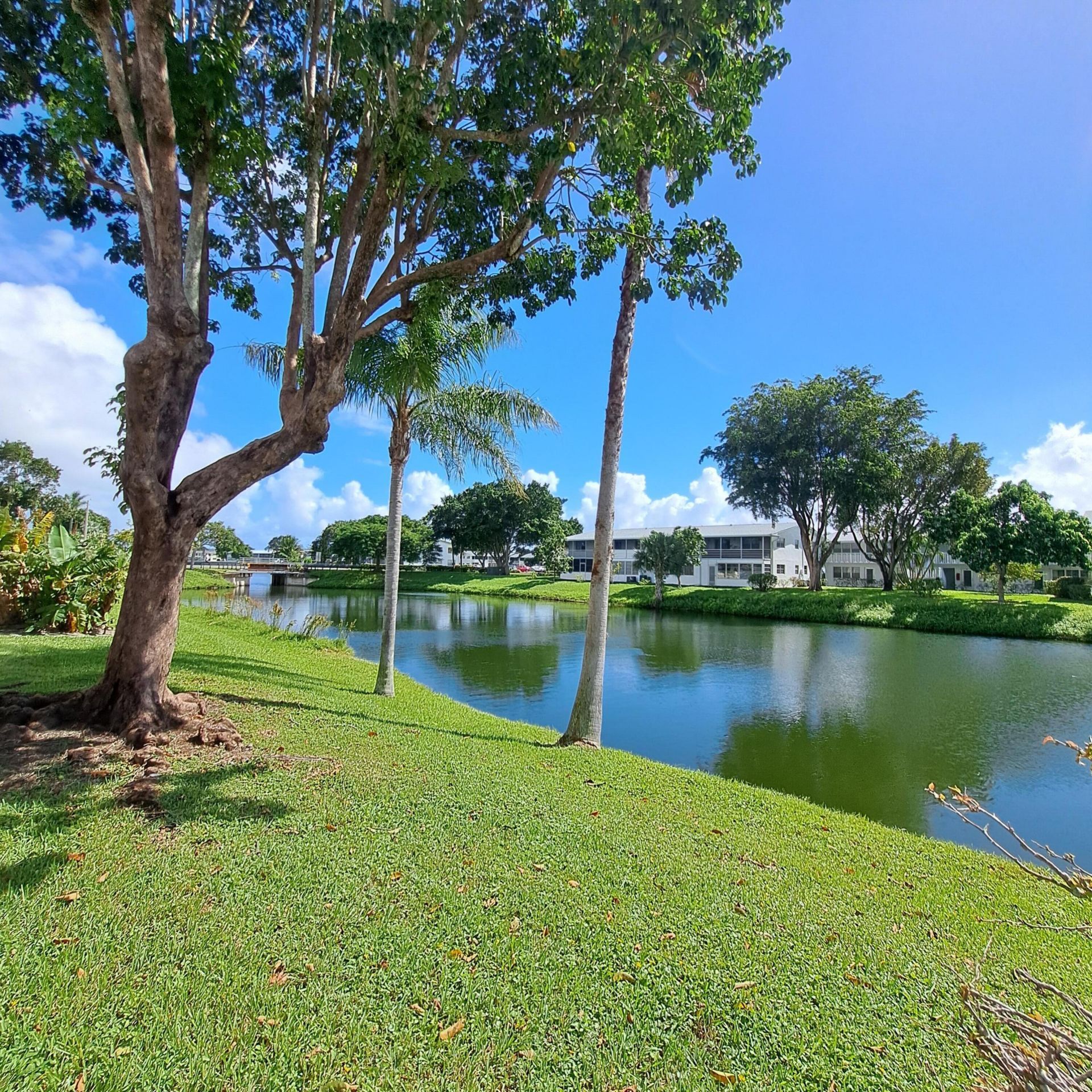 53 Northampton C, West Palm Beach, FL 33417 Photo