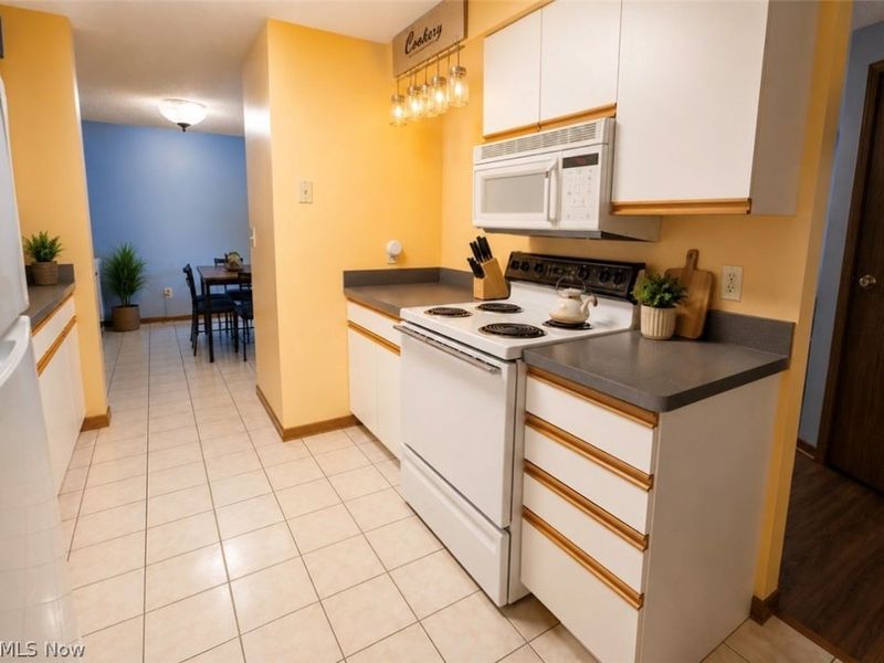 6215 Hidden Creek Drive, Unit 316, Lorain, OH 44053 Photo 8