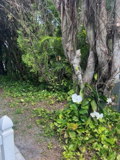 3503 NW 64th Court, Coconut Creek, FL 33073 Photo