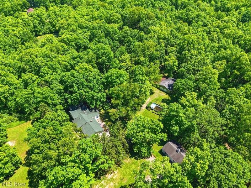 16203 Mock Road , Berlin Center, OH 44401 Photo 36