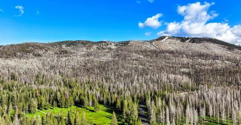 221 Sierra At Tahoe Road, Twin Bridges, CA 95735 Photo