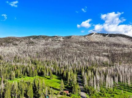 221 Sierra At Tahoe Road, Twin Bridges, CA 95735 Photo