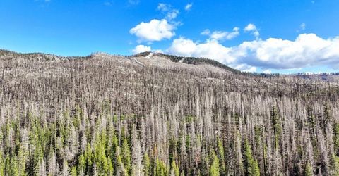 221 Sierra At Tahoe Road, Twin Bridges, CA 95735 Photo