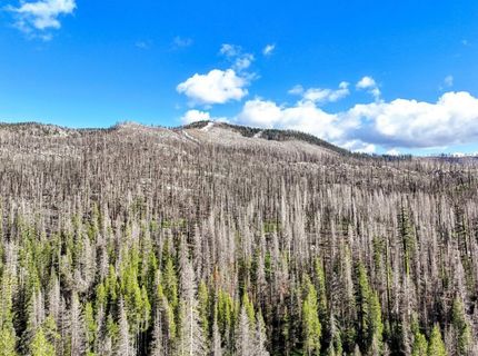 221 Sierra At Tahoe Road, Twin Bridges, CA 95735 Photo