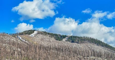 221 Sierra At Tahoe Road, Twin Bridges, CA 95735 Photo