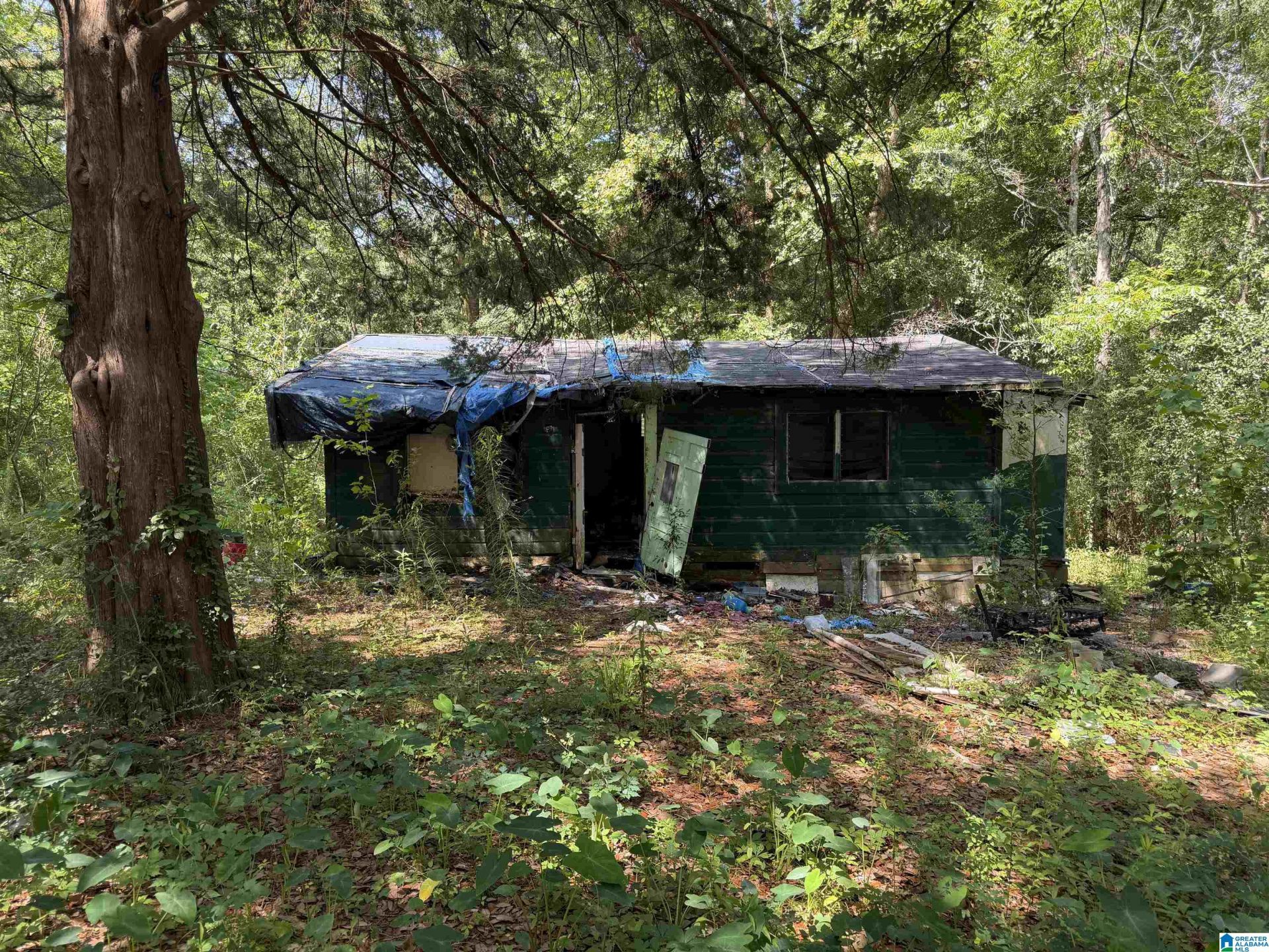 1695 Alabama Street, Florala, AL 36442 Main Photo