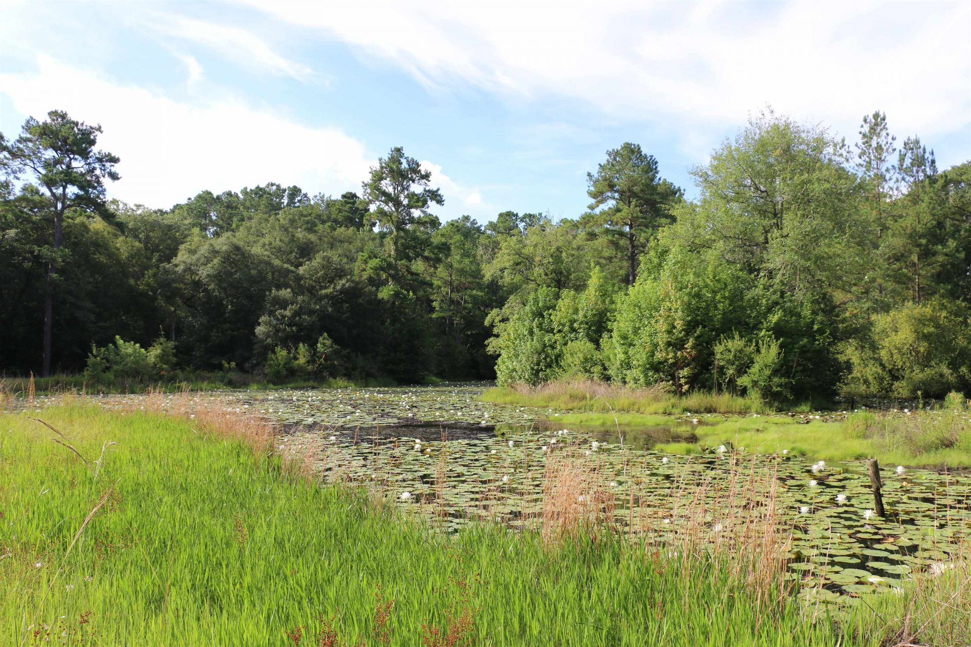 6401 Walkabout Lane , Tallahassee, FL 32309 Photo
