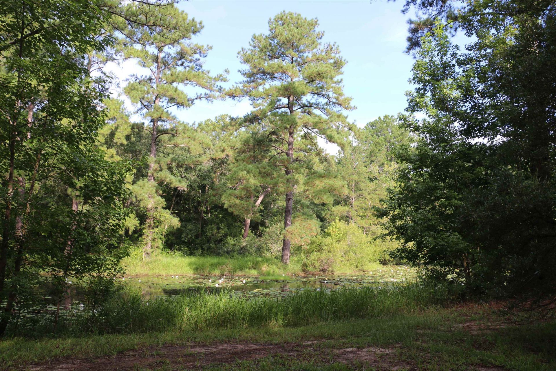 6401 Walkabout Lane , Tallahassee, FL 32309 Photo