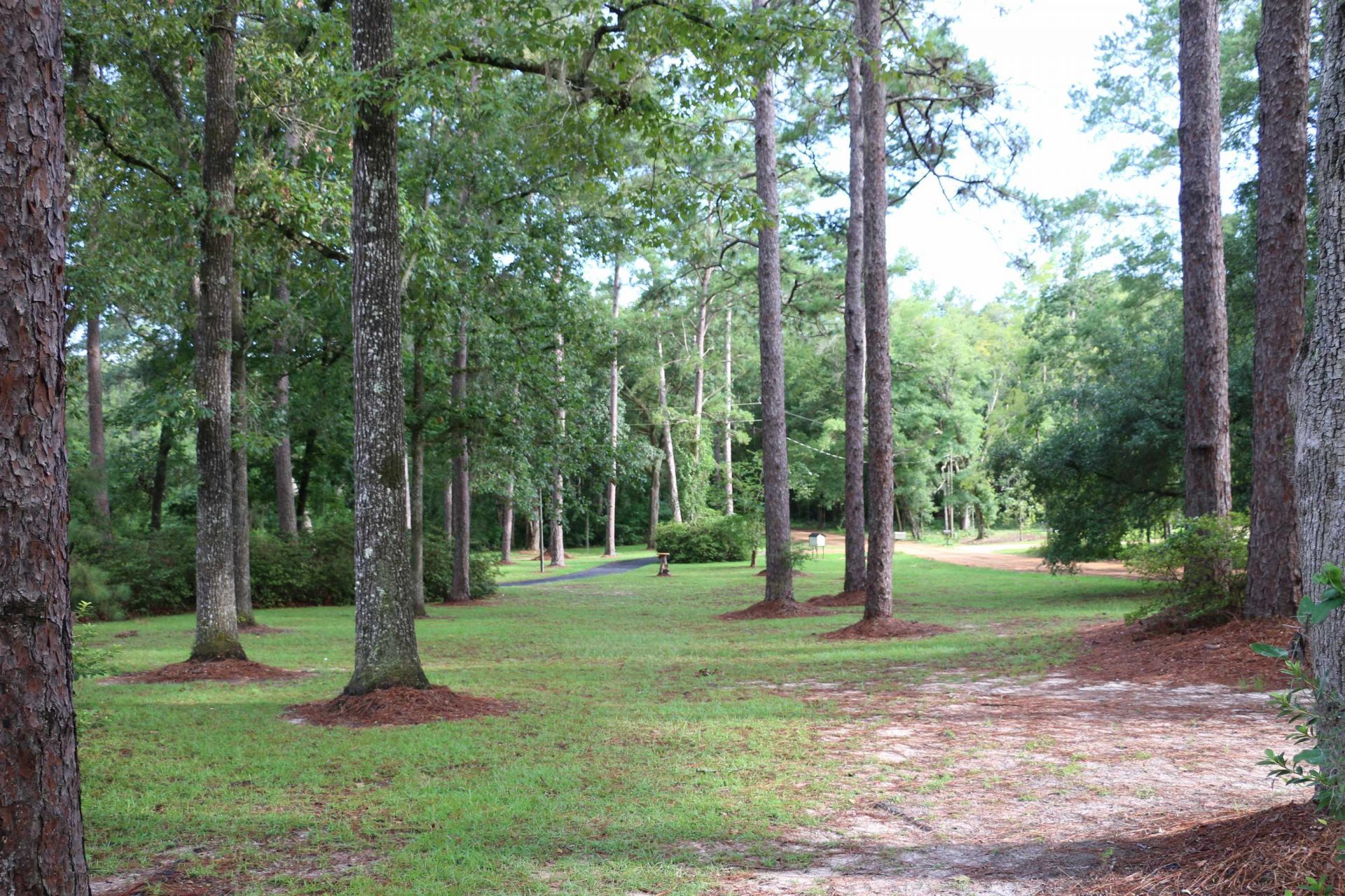 6401 Walkabout Lane , Tallahassee, FL 32309 Photo