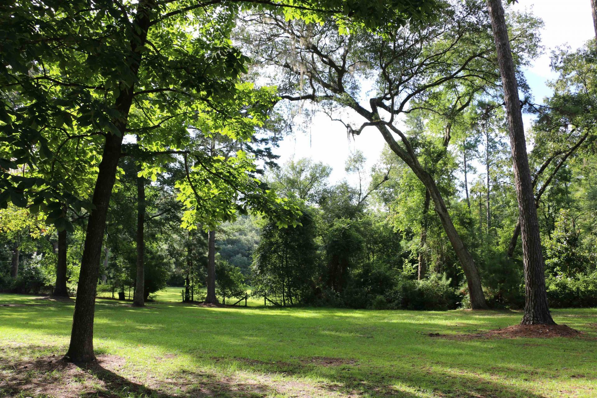 6401 Walkabout Lane , Tallahassee, FL 32309 Photo