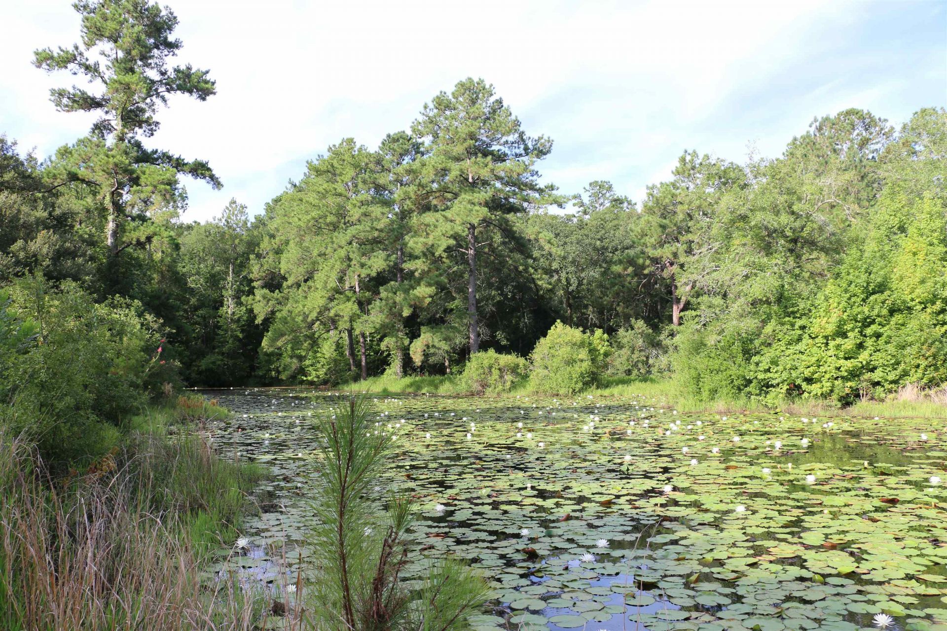 6401 Walkabout Lane , Tallahassee, FL 32309 Photo