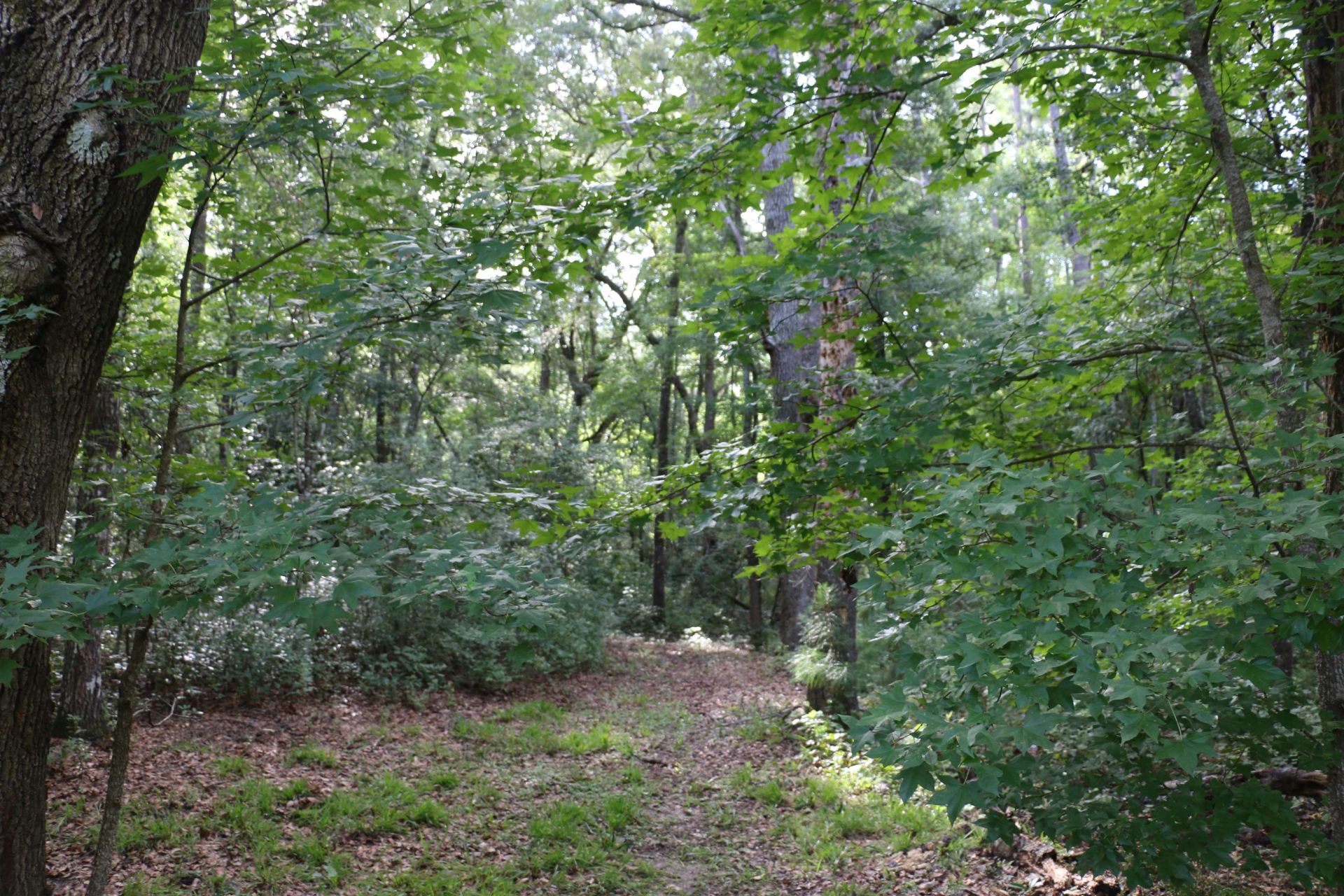 6401 Walkabout Lane , Tallahassee, FL 32309 Photo
