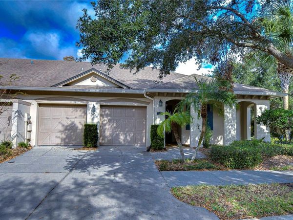 6801 LOCKINGTON COURT , TAMPA, FL 33625