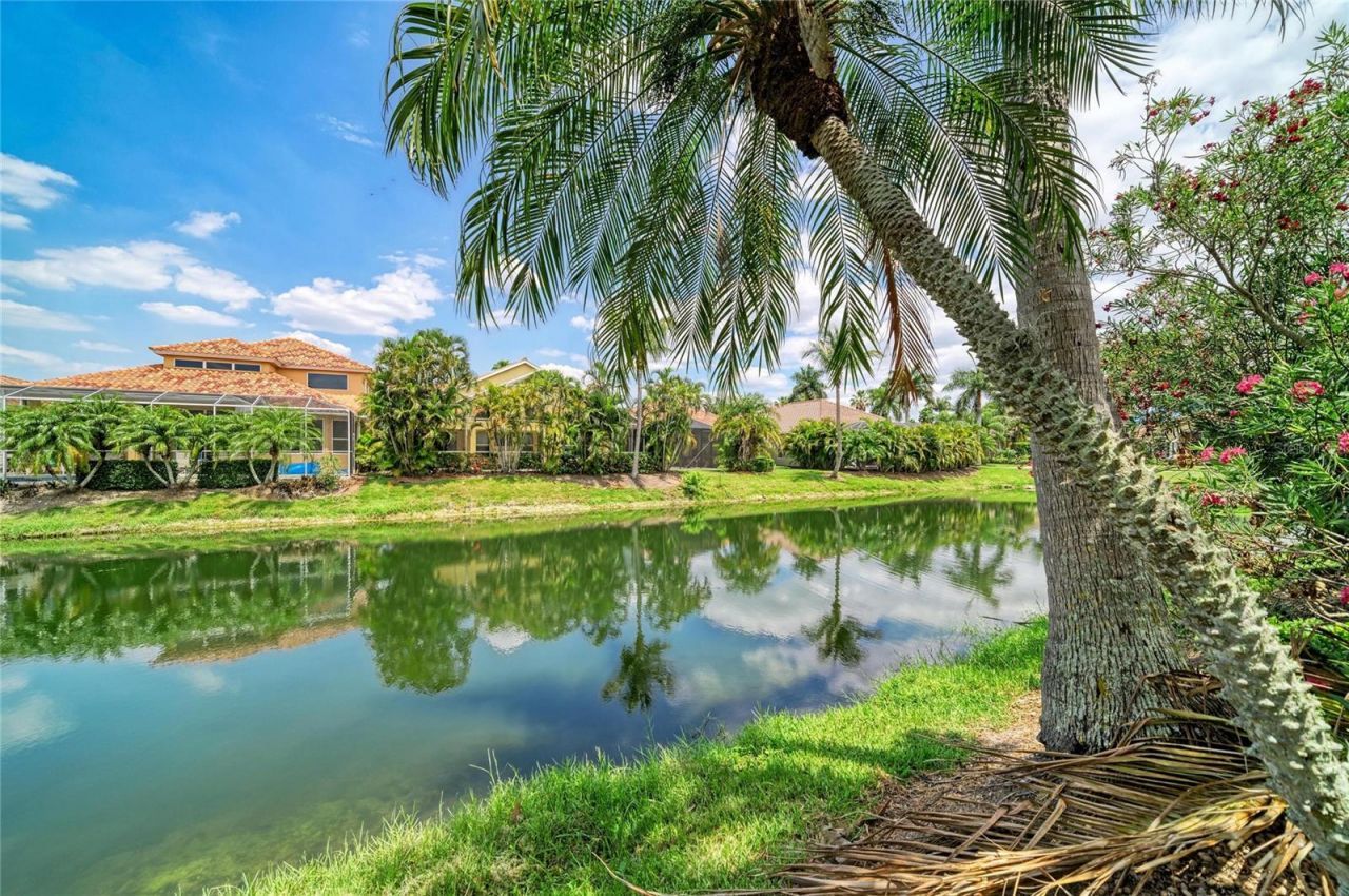 308 10th Avenue E, Palmetto, FL 34221 Photo