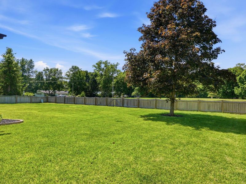 7558 Fairfield Lakes Drive, Powell, OH 43065 Photo 14