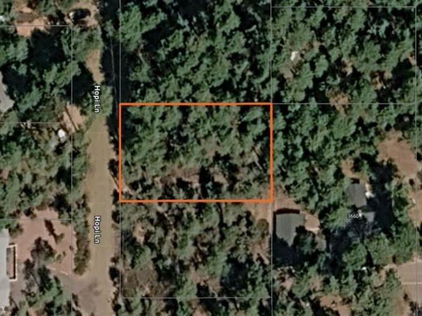 00 N Hopi Lane, Unit 281, Pine, AZ 85544