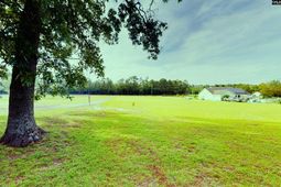 965 Crystal Springs Drive photo 4