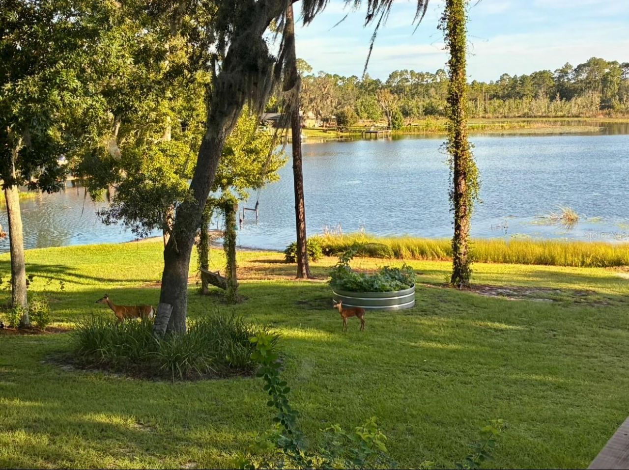 460 Lake Como Drive , Pomona Park, FL 32181 Photo