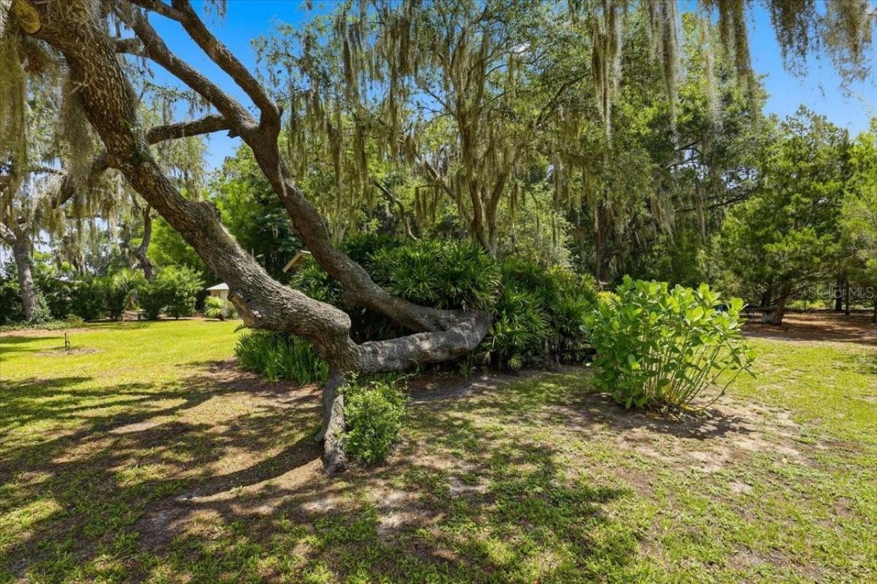 460 Lake Como Drive , Pomona Park, FL 32181 Photo