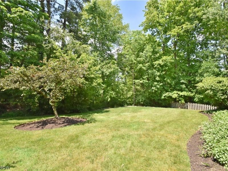 495 North Street, Chagrin Falls, OH 44022 Photo 44