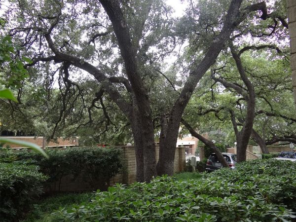 916 E 32nd ST, Unit 102, Austin, TX 78705