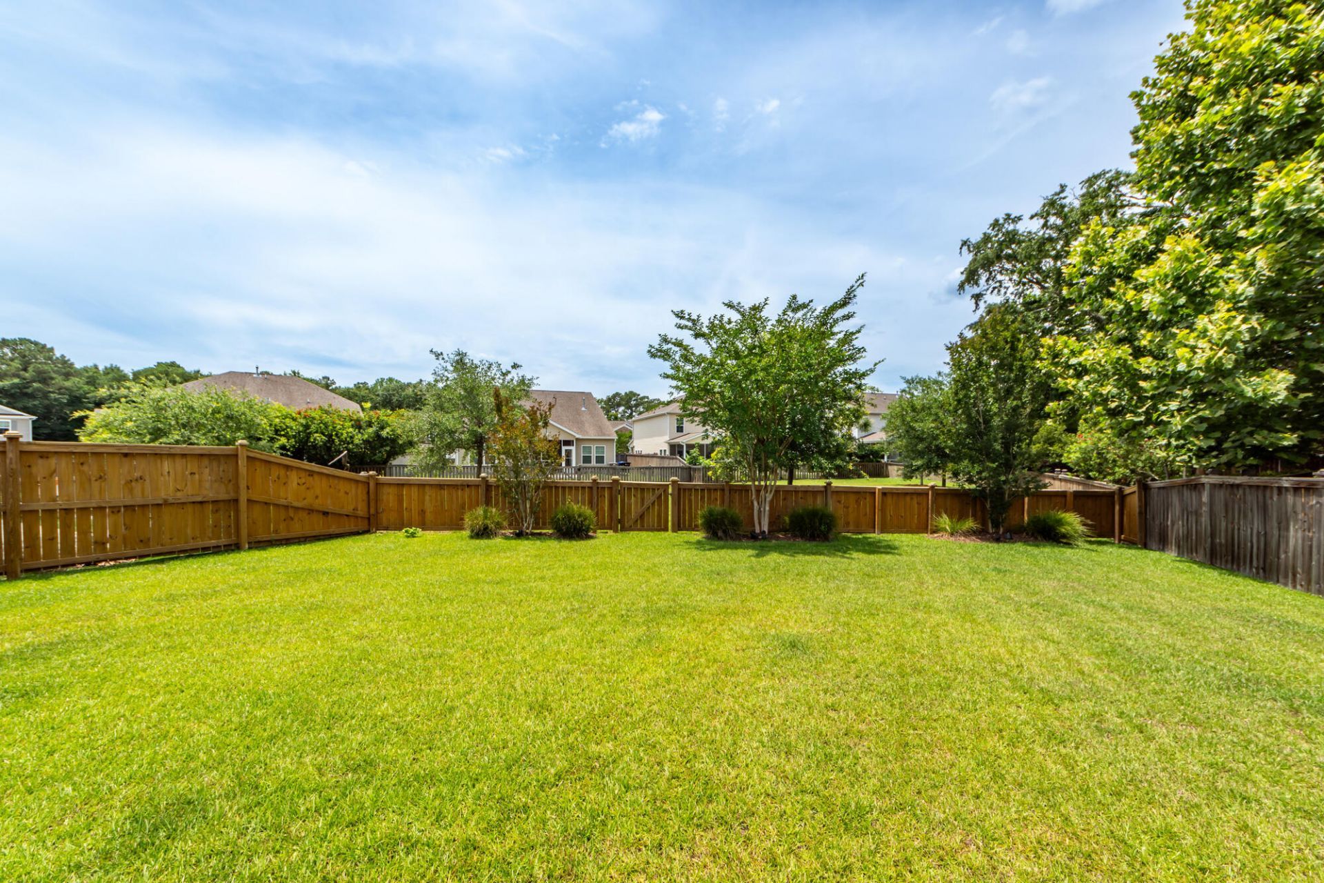 2023 Welsh Pony Drive Photo 61