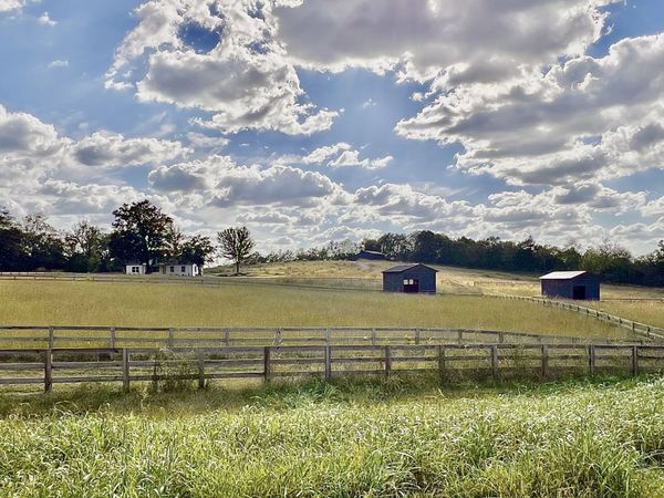 2250 Elkton Pike , Pulaski, TN 38478