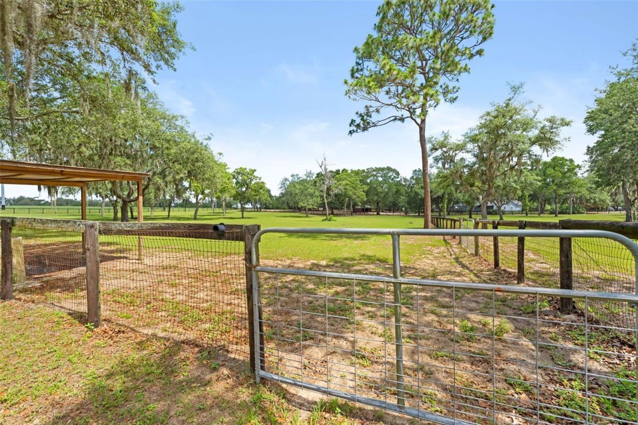 19509 Paso Fino Way, Dade City, FL 33523 Photo