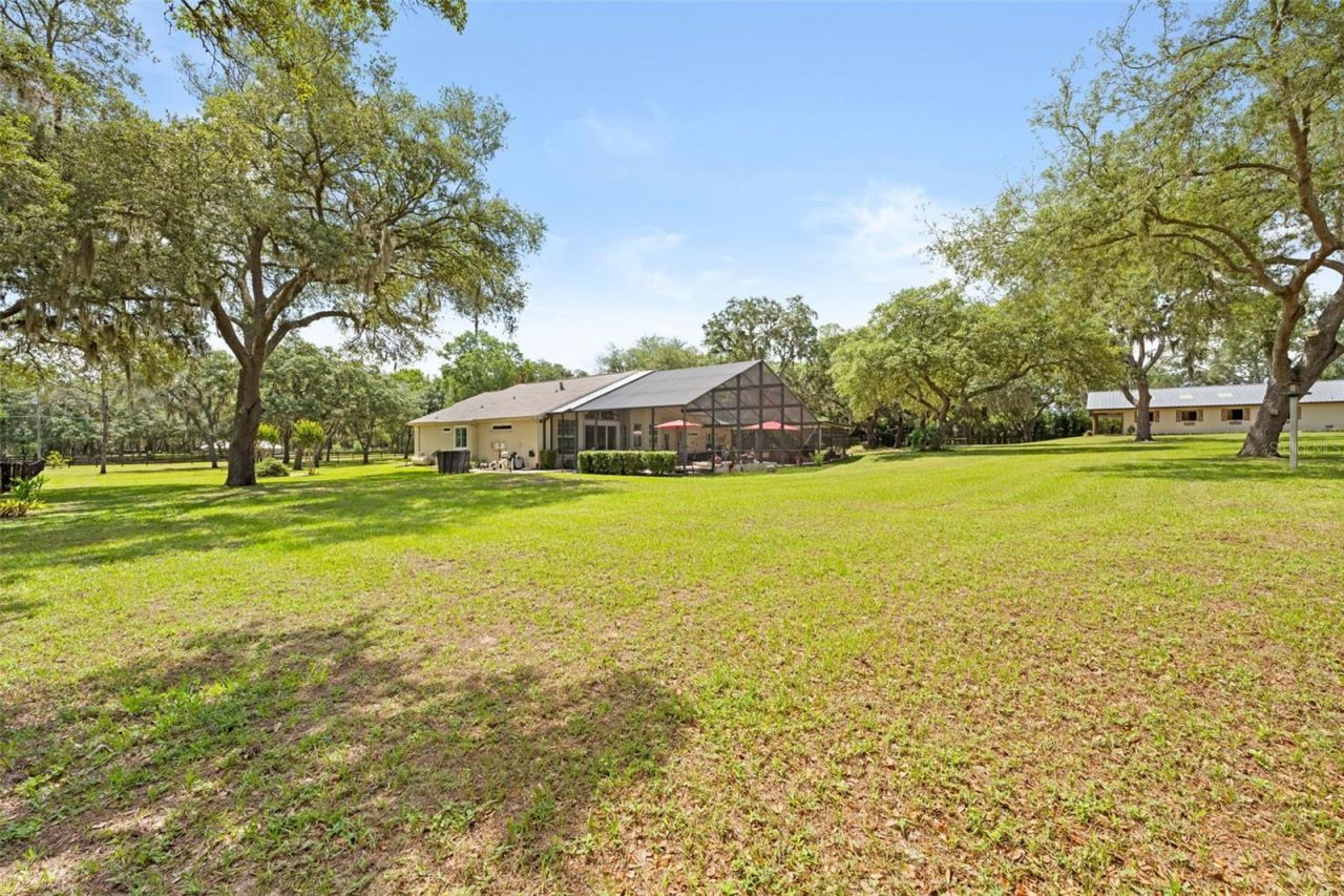 19509 Paso Fino Way, Dade City, FL 33523 Photo