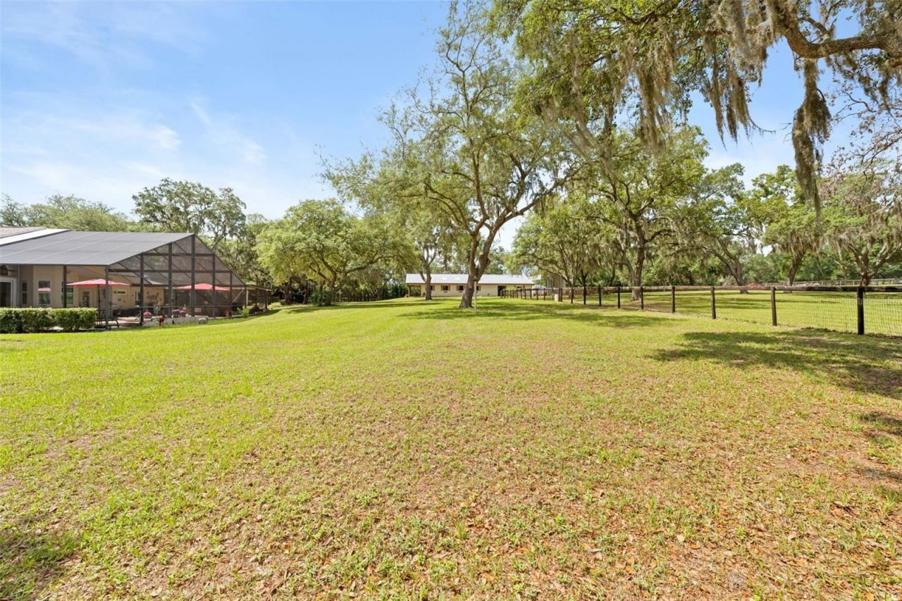 19509 Paso Fino Way, Dade City, FL 33523 Photo