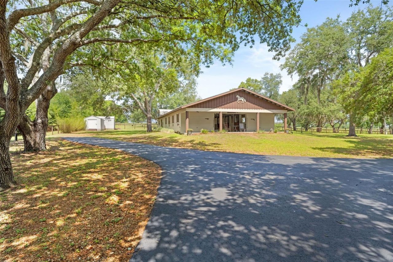 19509 Paso Fino Way, Dade City, FL 33523 Photo