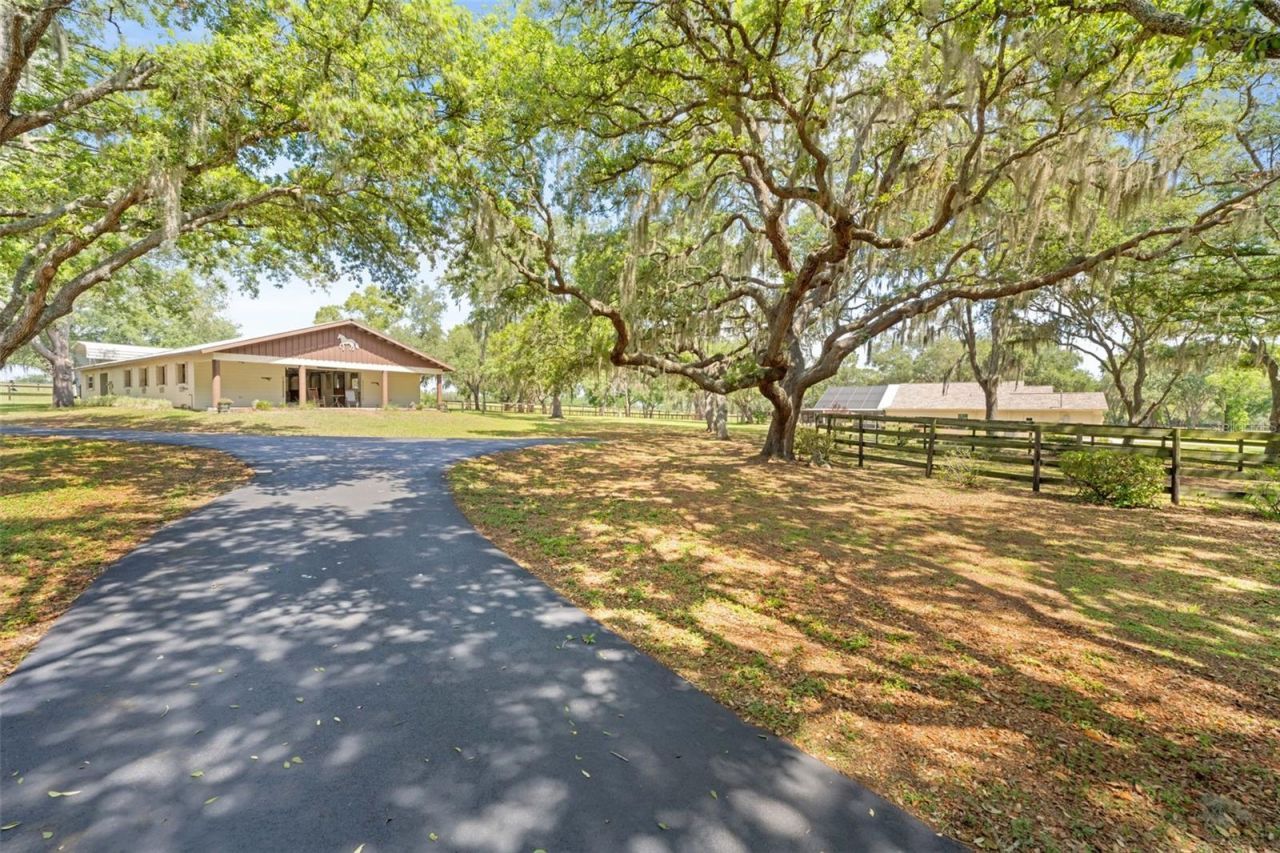 19509 Paso Fino Way, Dade City, FL 33523 Photo