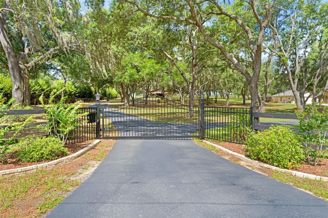 19509 Paso Fino Way, Dade City, FL 33523 Photo