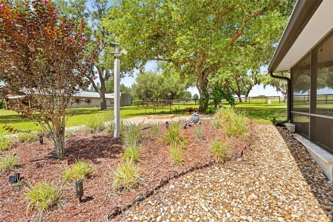 19509 Paso Fino Way, Dade City, FL 33523 Photo