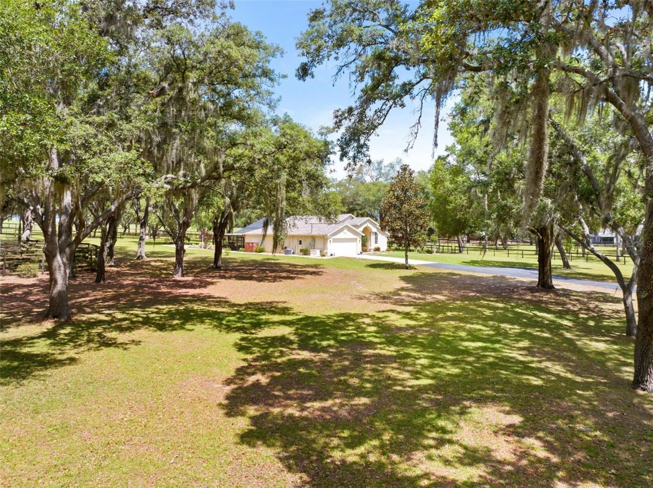 19509 Paso Fino Way, Dade City, FL 33523 Photo