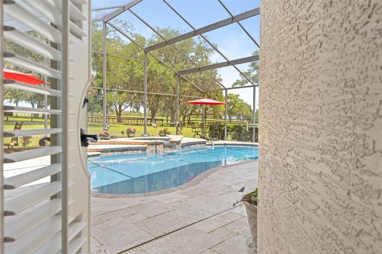 19509 Paso Fino Way, Dade City, FL 33523 Photo