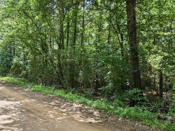 TBD E Cedar Piney Road , Havana, AR 72842
