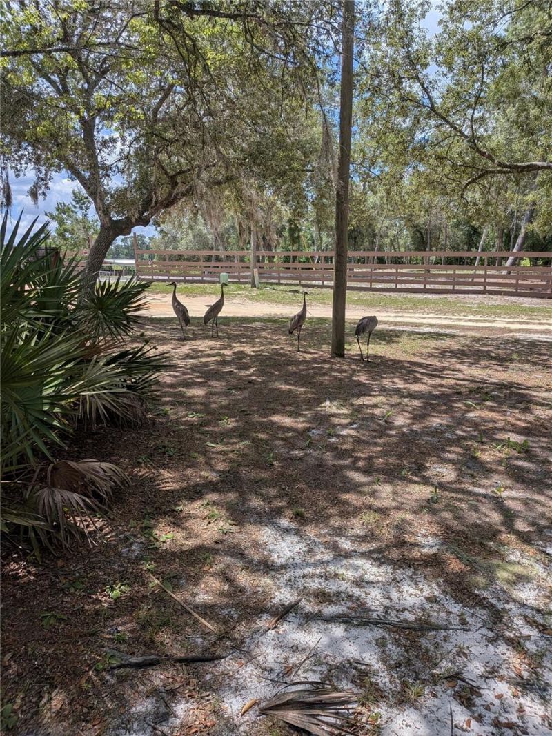 44931 2nd Street , Deland, FL 32720 Photo