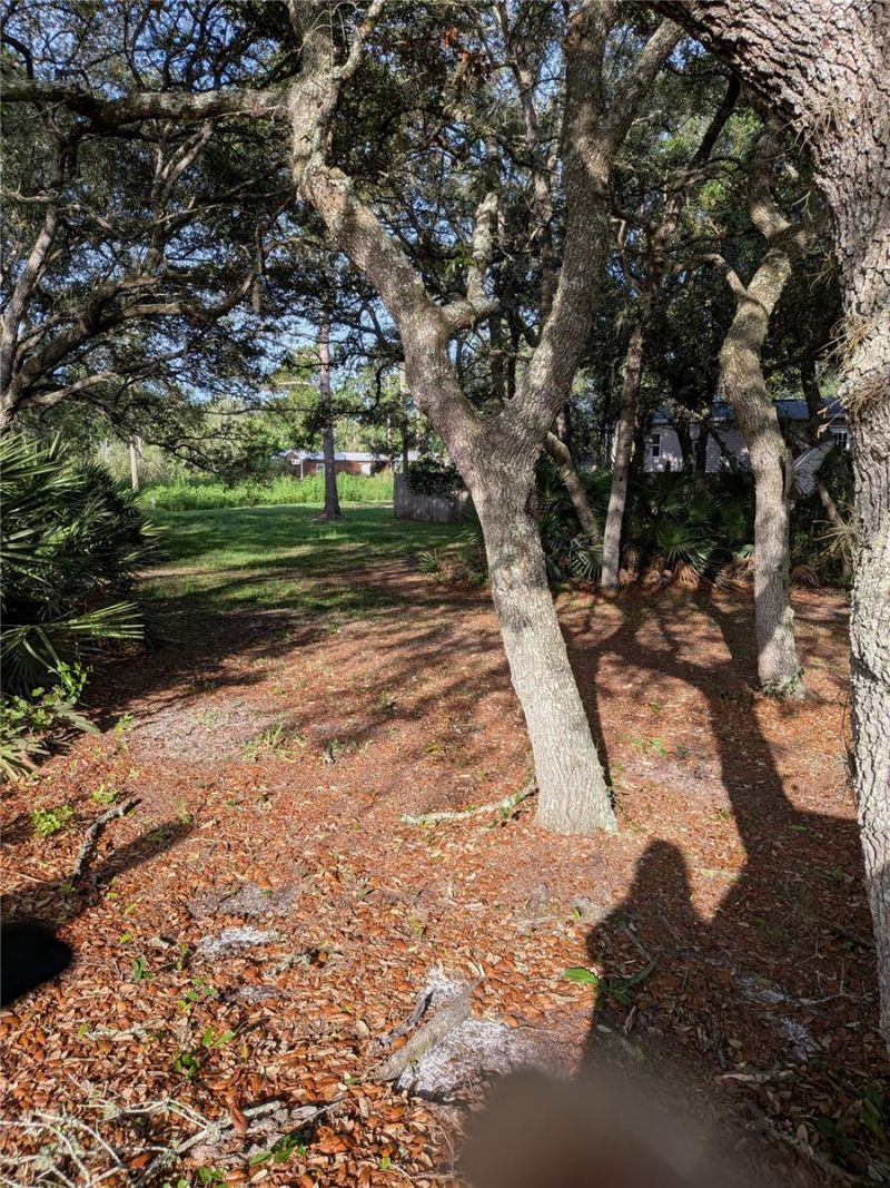 44931 2nd Street , Deland, FL 32720 Photo