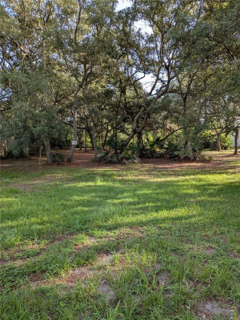 44931 2nd Street , Deland, FL 32720 Photo