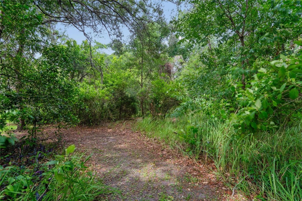 18915 Bascomb Lane , Hudson, FL 34667 Photo