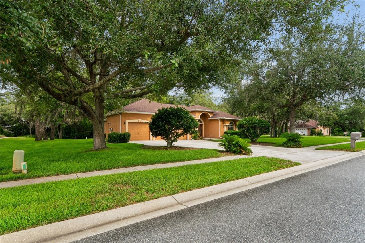 18915 Bascomb Lane , Hudson, FL 34667 Photo
