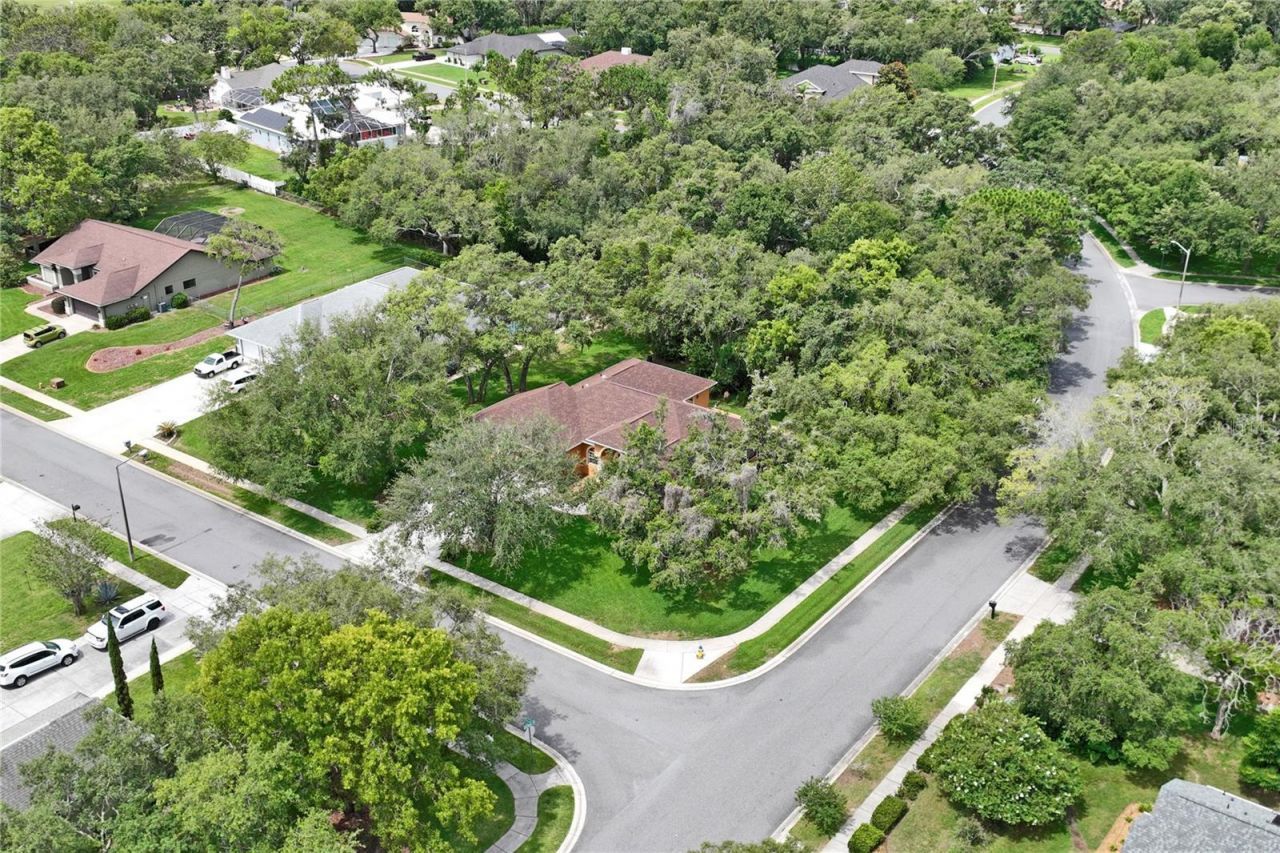 18915 Bascomb Lane , Hudson, FL 34667 Photo