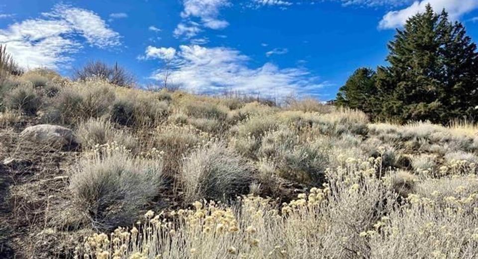 2790 Lake Ridge Shores Circle, Reno, NV 89519 Photo