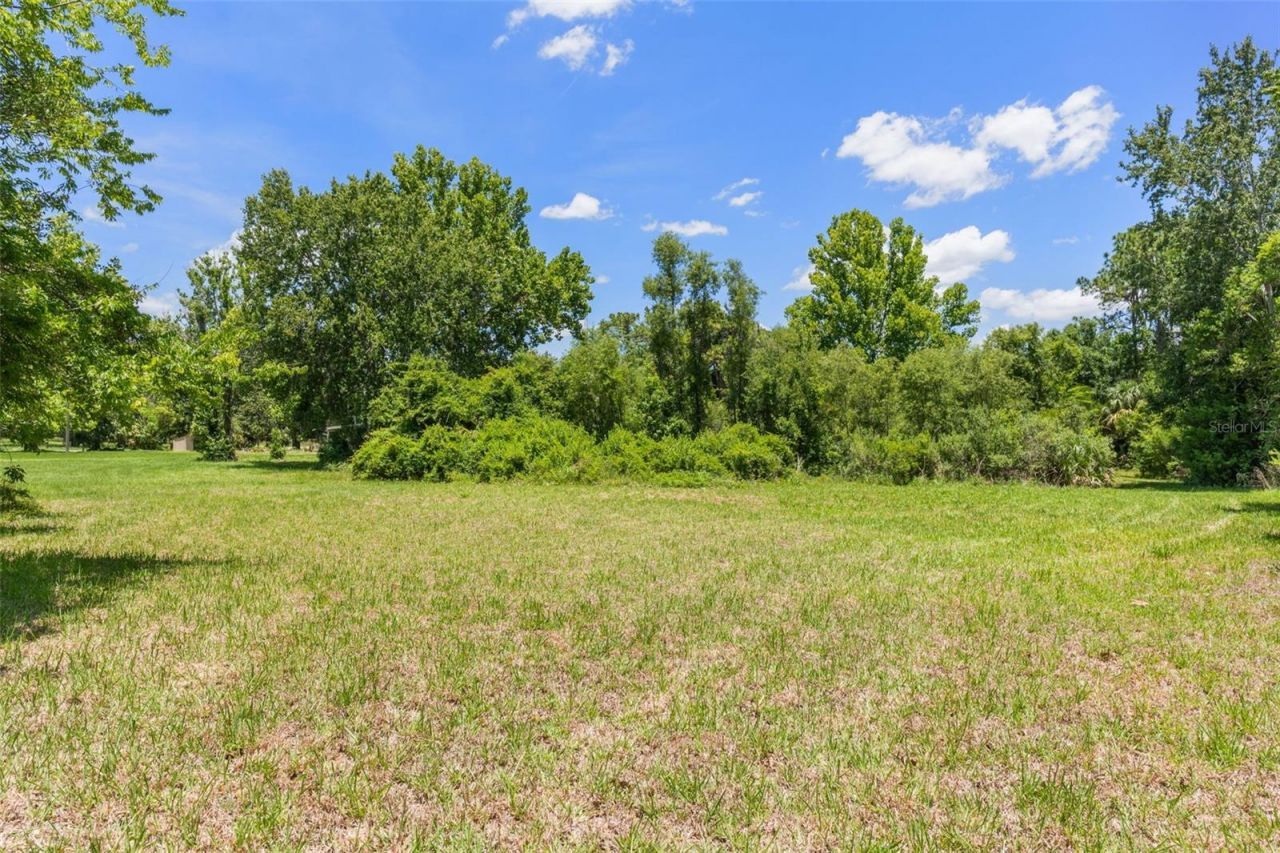 3909 S Cedar Terrace, Homosassa, FL 34448 Photo