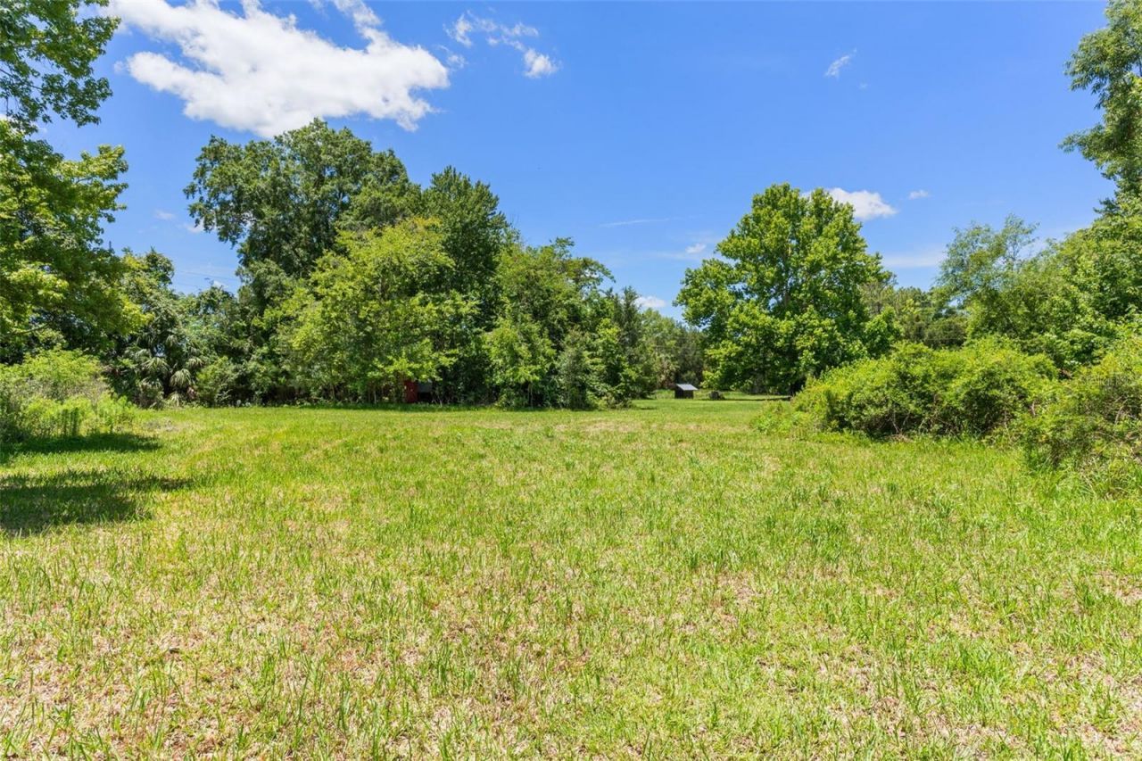 3909 S Cedar Terrace, Homosassa, FL 34448 Photo