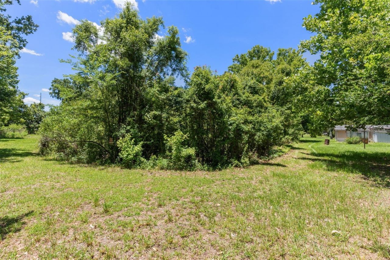 3909 S Cedar Terrace, Homosassa, FL 34448 Photo