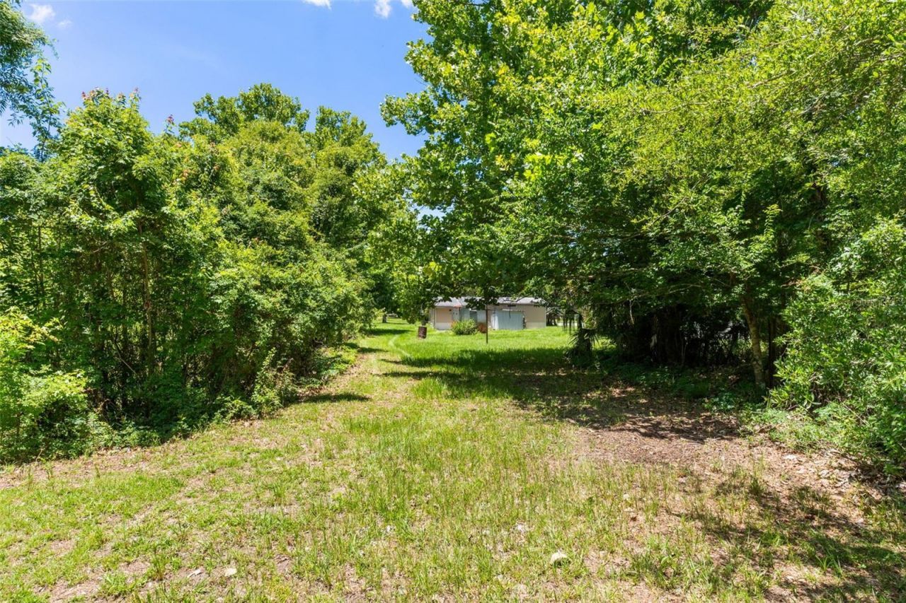 3909 S Cedar Terrace, Homosassa, FL 34448 Photo
