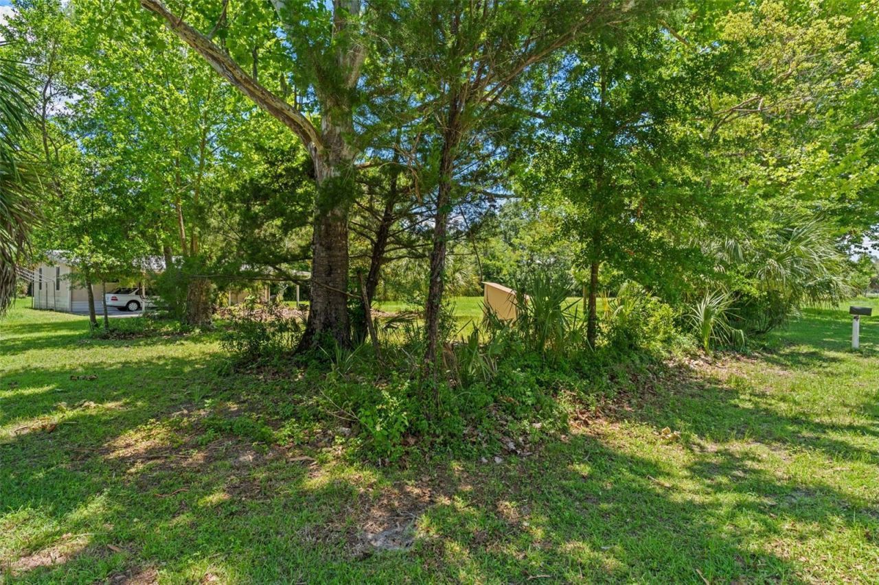 3909 S Cedar Terrace, Homosassa, FL 34448 Photo