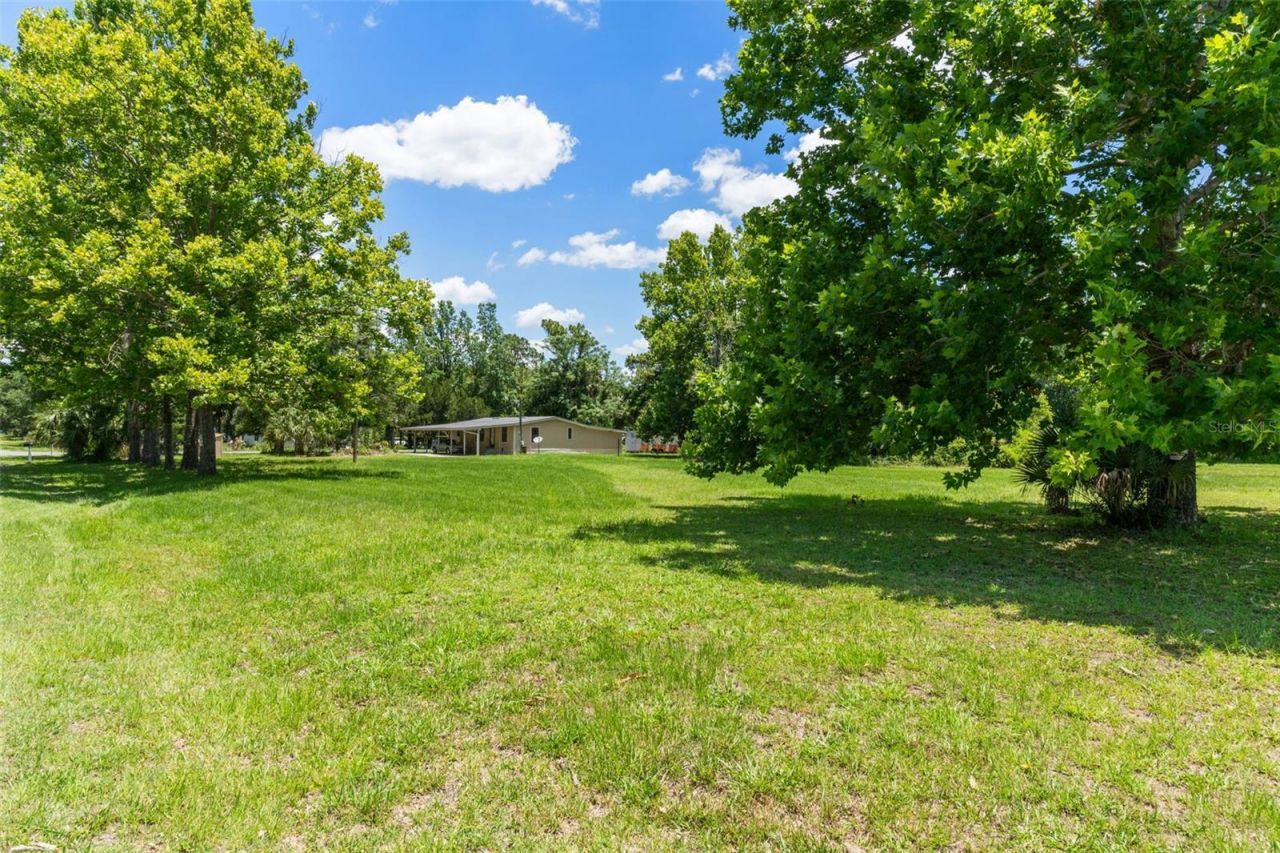 3909 S Cedar Terrace, Homosassa, FL 34448 Photo